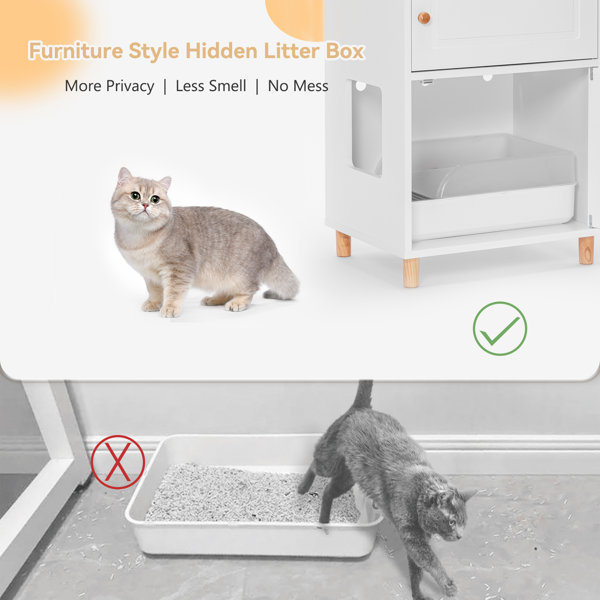 Tucker Murphy Pet™ Cat Litter Box Enclosure with Storage Wayfair